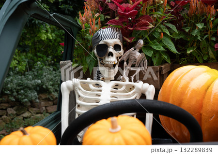 ハロウイン ハロウイン 132289839