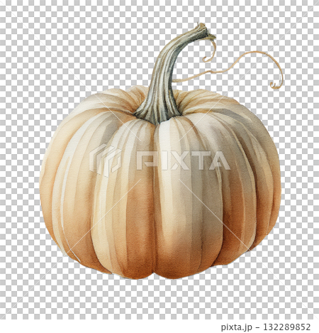 南瓜插畫素材 132289852