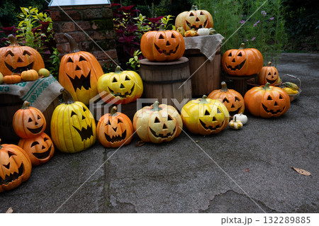 ハロウイン 132289885