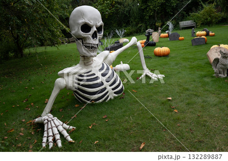 ハロウイン ハロウイン 132289887