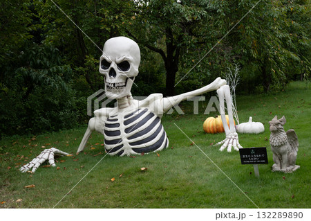 ハロウイン ハロウイン 132289890