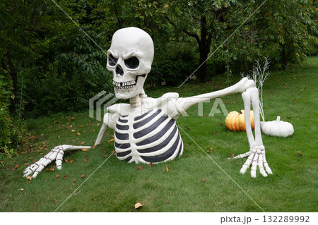 ハロウイン 132289992