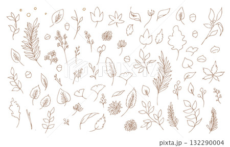 草木の線画イラスト。秋の草木のベクターフレーム。冬の植物シンプル背景。 132290004