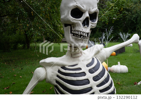 ハロウイン 132290112