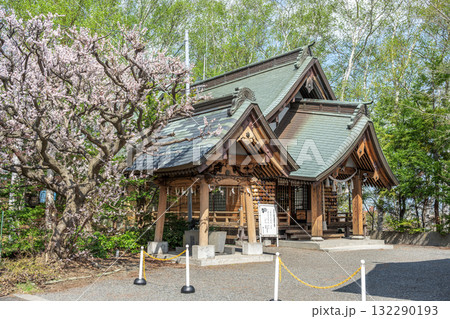 梅の花咲く平岸天満宮・大平山三吉神社　天神山緑地　札幌市 132290193