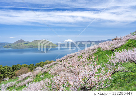 羊蹄山、洞爺湖、梅林　壮瞥公園　壮瞥町 132290447