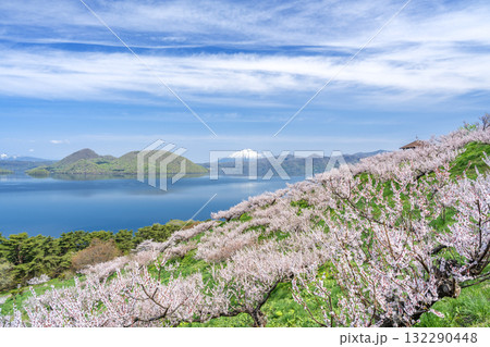 羊蹄山、洞爺湖、梅林　壮瞥公園　壮瞥町 132290448