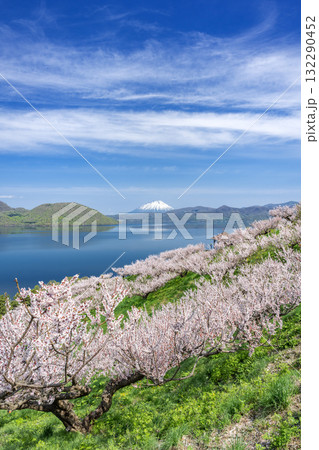 羊蹄山、洞爺湖、梅林　壮瞥公園　壮瞥町 132290452