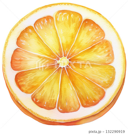 シトラス 132290919