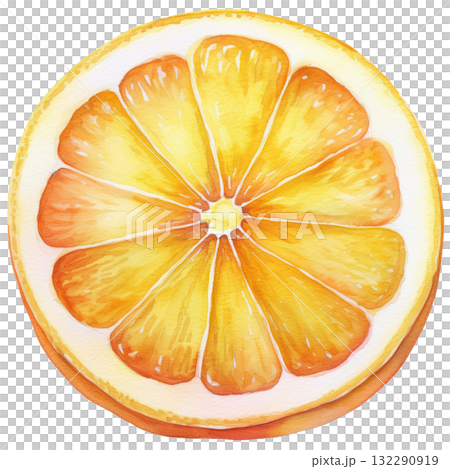 シトラス 132290919