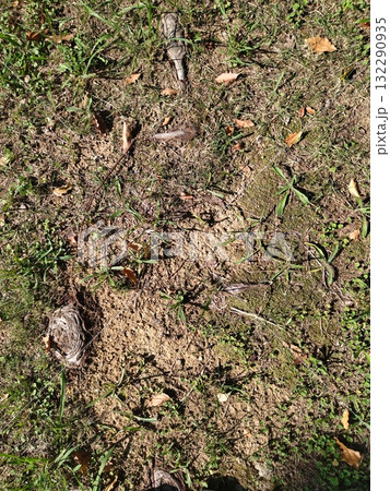 地面 地面 132290935