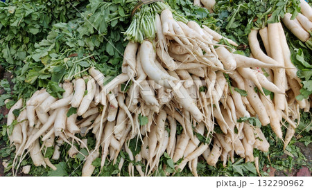 Fresh white radish bunches placed on roadside for sale in Islamabad vegetable market showing rural harvest and local trade Fresh white radish bunches placed on roadside for sale in Islamabad vegetable market showing rural harvest and local trade 132290962