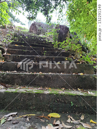 Old Stone Steps Covered with Green Moss and Plants in Tropical Forest Old Stone Steps Covered with Green Moss and Plants in Tropical Forest 132291149