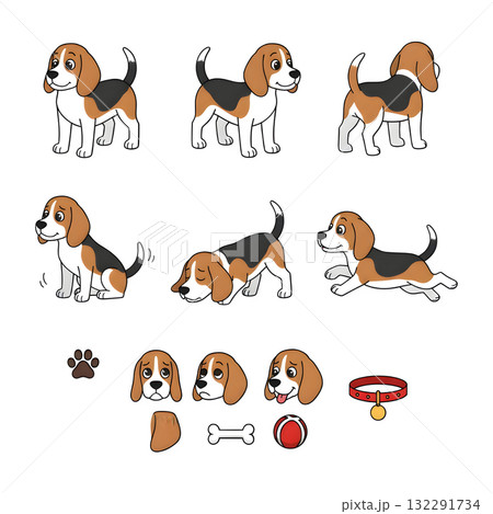 Set of beagle dog character. illustration design Set of beagle dog character. illustration design 132291734