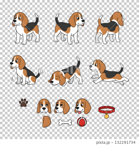 Set of beagle dog character. illustration design Set of beagle dog character. illustration design 132291734