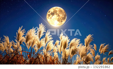 《AI画像》満月と風に揺れるススキ 132291862