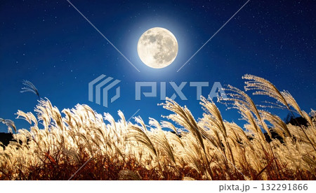 《AI画像》満月と風に揺れるススキ 132291866