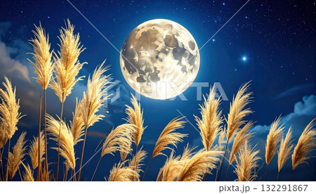 《AI画像》満月と風に揺れるススキ 132291867
