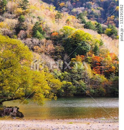 日光国立公園「丸沼」 132291982