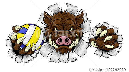 Boar Razorback Hog Volleyball Volley Ball Mascot 132292059