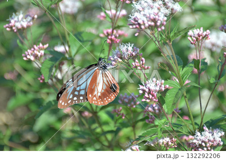 わが街にトランジット 132292206