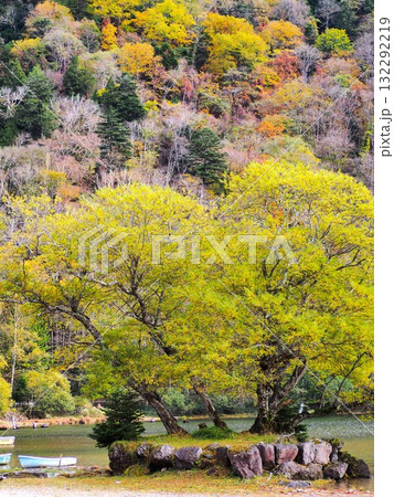 日光国立公園「丸沼」 132292219