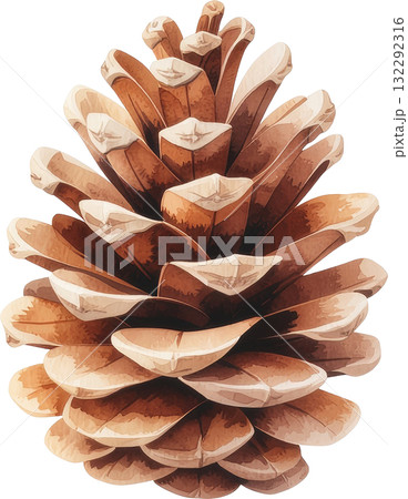 A simple, stylized illustration of a single pine cone, rendered in natural brown tones and isolated on a white background. 132292316