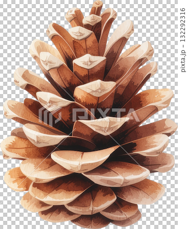 A simple, stylized illustration of a single pine cone, rendered in natural brown tones and isolated on a white background. 132292316