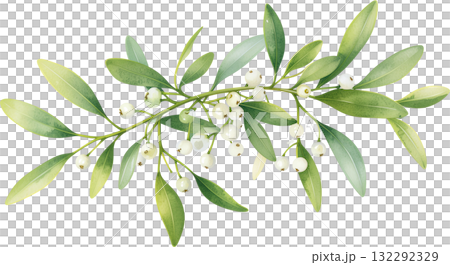 A delicate watercolor illustration of a mistletoe branch with green leaves and white berries, isolated on a white background. A delicate watercolor illustration of a mistletoe branch with green leaves and white berries, isolated on a white background. 132292329