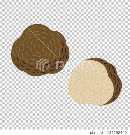 Truffle illustration without main lines 132292440