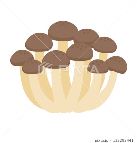 ぶなしめじの主線無しイラスト 132292441