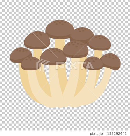 ぶなしめじの主線無しイラスト 132292441