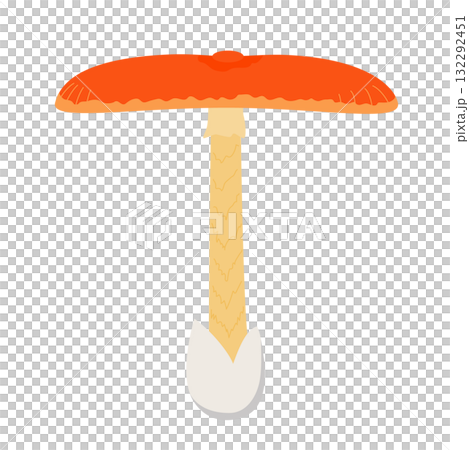 無主線的玉子竹插畫 132292451