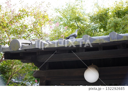 和風な玄関灯 和風な玄関灯 132292685