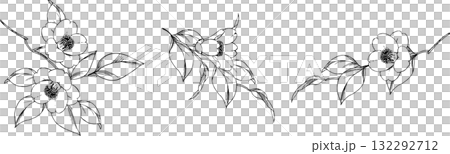 山茶花枝的鋼筆畫插圖2 山茶花枝的鋼筆畫插圖2 132292712