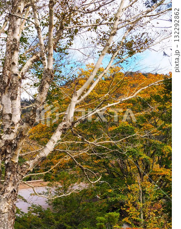 日光国立公園「丸沼」 日光国立公園「丸沼」 132292862