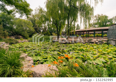 BEIJING, CHINA - may 29 2025 Beijing Zoo, a zoological park in Beijing, China BEIJING, CHINA - may 29 2025 Beijing Zoo, a zoological park in Beijing, China 132292995