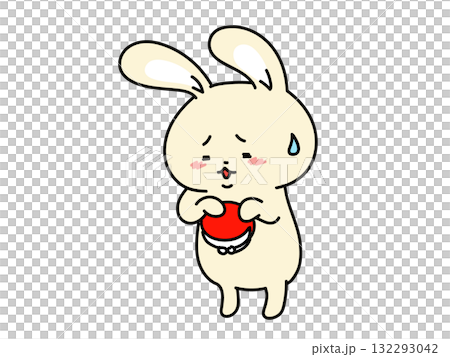 錢包空空的兔子 錢包空空的兔子 132293042