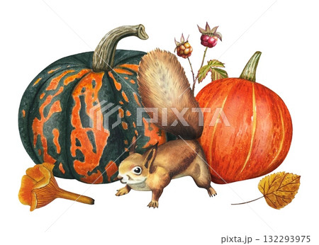 Hand drawn composition featuring harvest, pumpkins, squirrel, mashroom. Watercolor illustration. 132293975