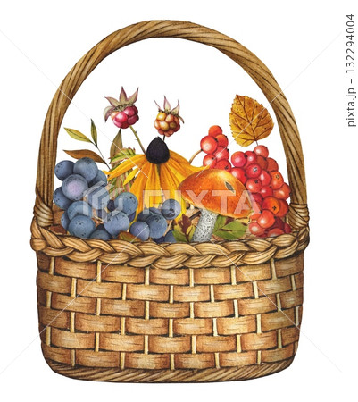 Hand drawn basket of harvested  mushroom, rowan berries, grapes,flower, autumn leaves. Watercolor illustration. 132294004