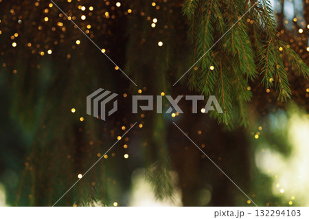 Festive golden bokeh among fir branches, warm Christmas background 132294103