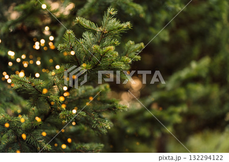 Christmas tree closeup with blurred golden lights, holiday background 132294122