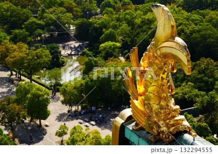 金のシャチホコ(大阪城) 金のシャチホコ(大阪城) 132294555