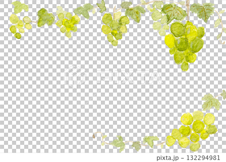 水彩閃耀馬斯喀特框架 132294981