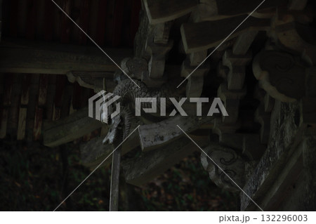 長野県上田市・前山塩野神社の龍 長野県上田市・前山塩野神社の龍 132296003