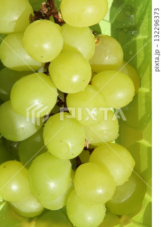 たわわに実った陽当たり最高のマスカット たわわに実った陽当たり最高のマスカット 132296373
