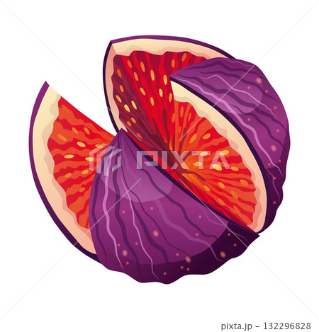 Fig Fruit Cut with Thin Skin and Many Small Seeds Inside Vector 132296828