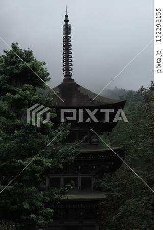 長野県上田市・前山寺の樹木に囲まれた三重塔 長野県上田市・前山寺の樹木に囲まれた三重塔 132298135