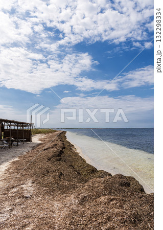 A sandy beach next to a body of water 132298334