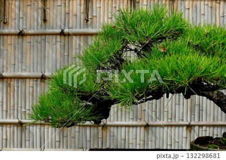 竹垣と松の盆栽のある庭　年賀状素材 132298681